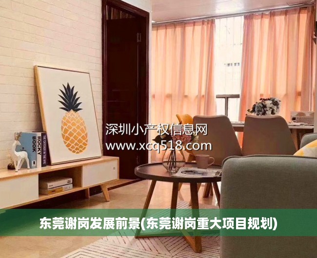 东莞谢岗发展前景(东莞谢岗重大项目规划)