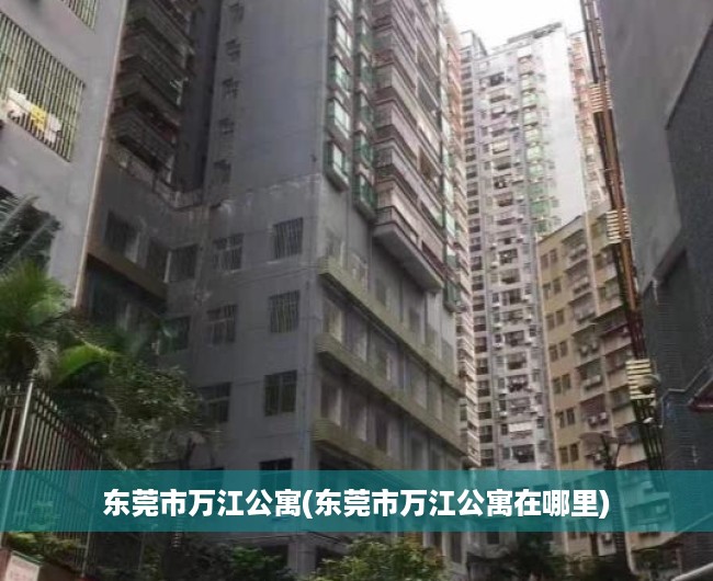 东莞市万江公寓(东莞市万江公寓在哪里) 东莞市万江公寓(东莞市万江公寓在哪里)