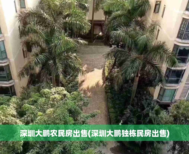 深圳大鹏农民房出售(深圳大鹏独栋民房出售)
