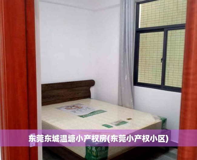 东莞东城温塘小产权房(东莞小产权小区)