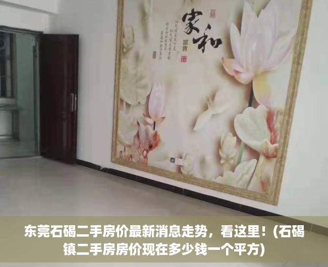 东莞石碣二手房价最新消息走势，看这里！(石碣镇二手房房价现在多少钱一个平方)