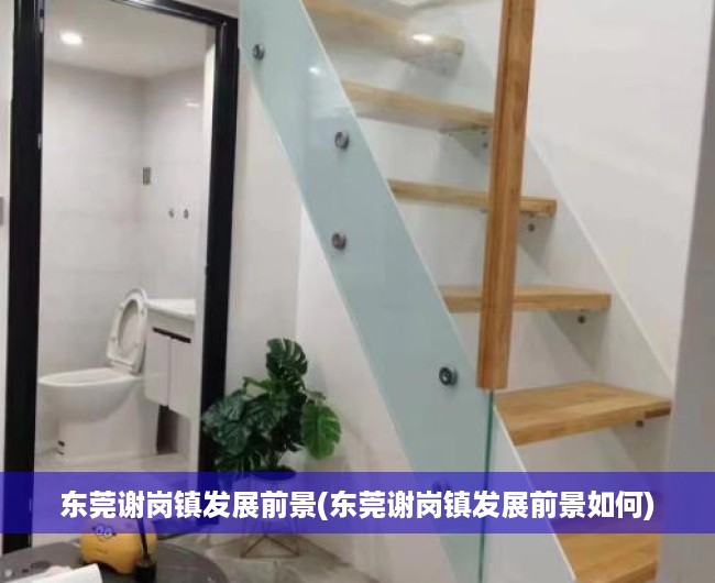 东莞谢岗镇发展前景(东莞谢岗镇发展前景如何) 东莞谢岗镇发展前景(东莞谢岗镇发展前景如何)