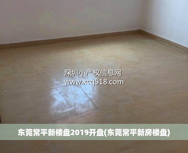 东莞常平新楼盘2019开盘(东莞常平新房楼盘)