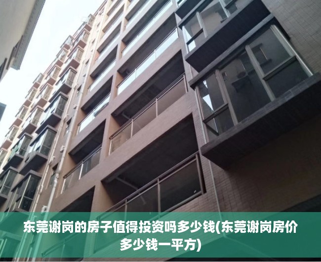 东莞谢岗的房子值得投资吗多少钱(东莞谢岗房价多少钱一平方)