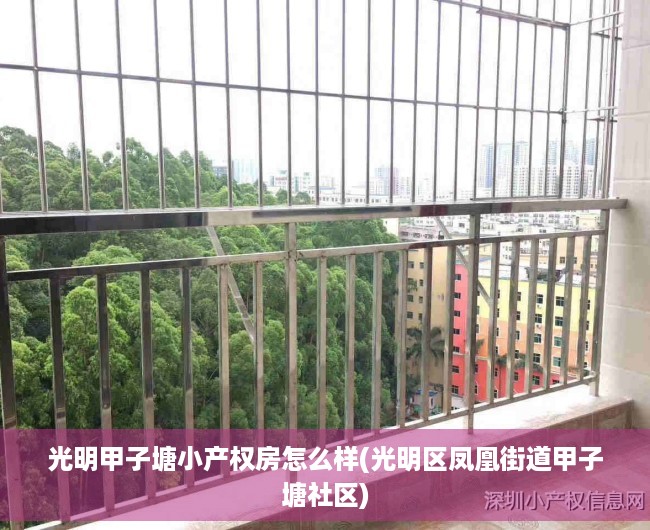 光明甲子塘小产权房怎么样(光明区凤凰街道甲子塘社区)