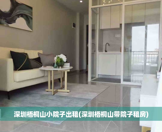深圳梧桐山小院子出租(深圳梧桐山带院子租房)