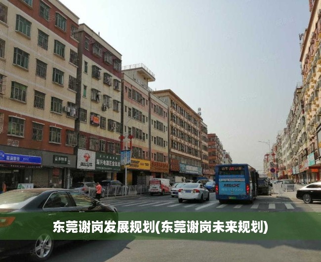 东莞谢岗发展规划(东莞谢岗未来规划) 东莞谢岗发展规划(东莞谢岗未来规划)
