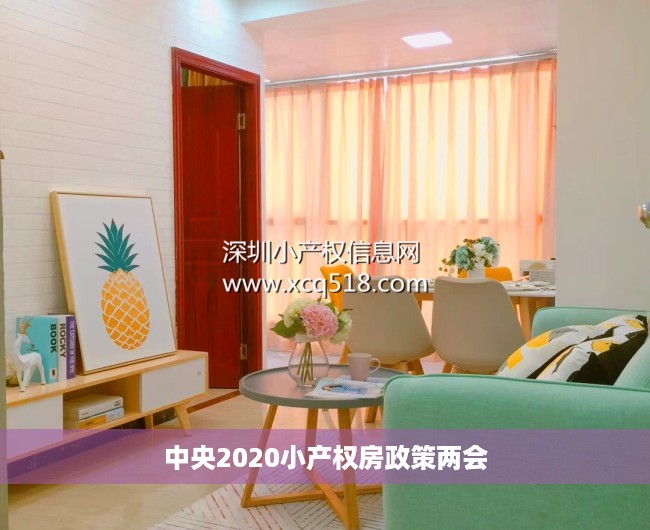 中央2020小产权房政策两会 中央2020小产权房政策两会