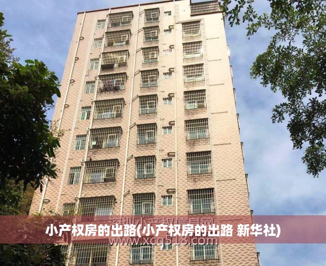 小产权房的出路(小产权房的出路 新华社) 小产权房的出路(小产权房的出路 新华社)