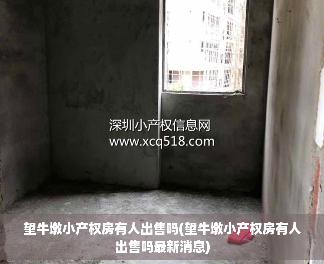 望牛墩小产权房有人出售吗(望牛墩小产权房有人出售吗最新消息) 望牛墩小产权房有人出售吗(望牛墩小产权房有人出售吗最新消息)