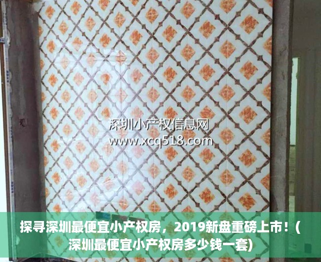 探寻深圳最便宜小产权房，2019新盘重磅上市！(深圳最便宜小产权房多少钱一套)
