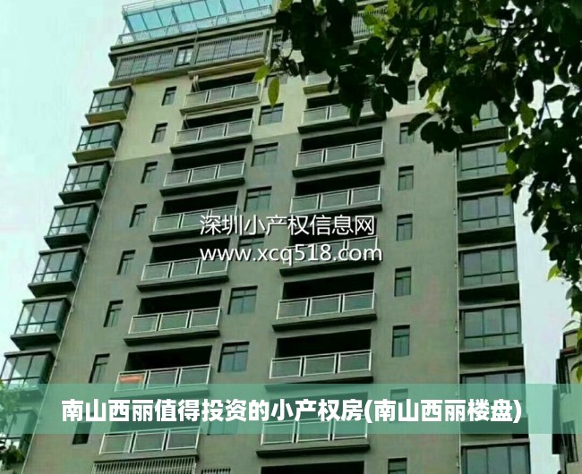 南山西丽值得投资的小产权房(南山西丽楼盘)