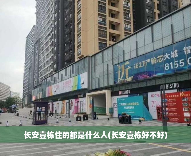长安壹栋住的都是什么人(长安壹栋好不好) 长安壹栋住的都是什么人(长安壹栋好不好)