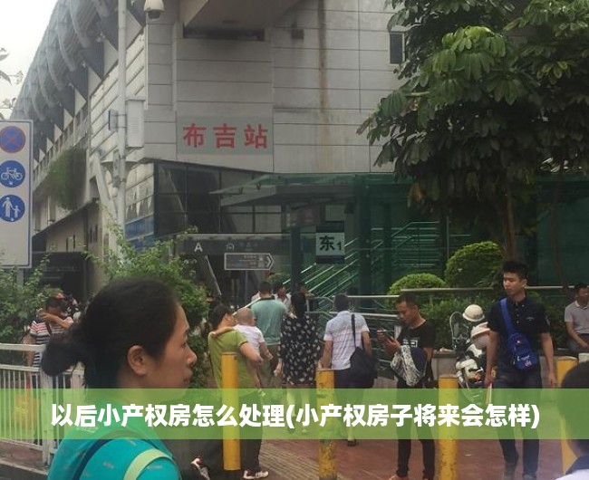 以后小产权房怎么处理(小产权房子将来会怎样) 以后小产权房怎么处理(小产权房子将来会怎样)