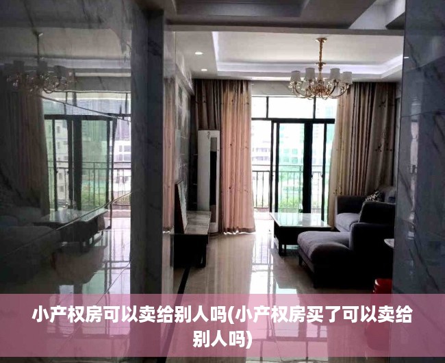 小产权房可以卖给别人吗(小产权房买了可以卖给别人吗) 小产权房可以卖给别人吗(小产权房买了可以卖给别人吗)