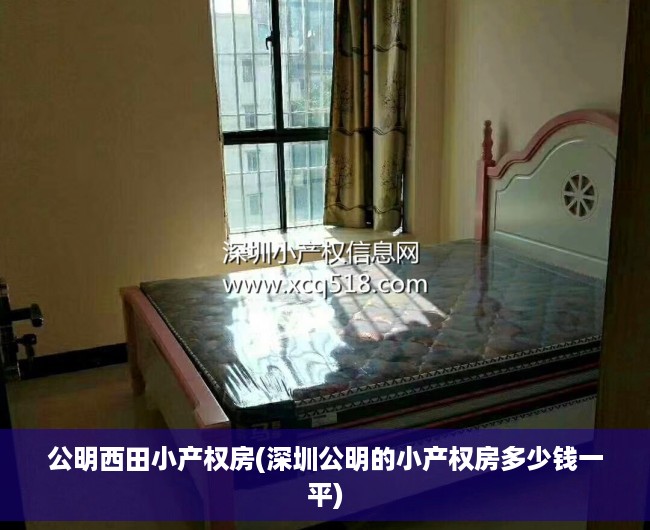 公明西田小产权房(深圳公明的小产权房多少钱一平) 公明西田小产权房(深圳公明的小产权房多少钱一平)