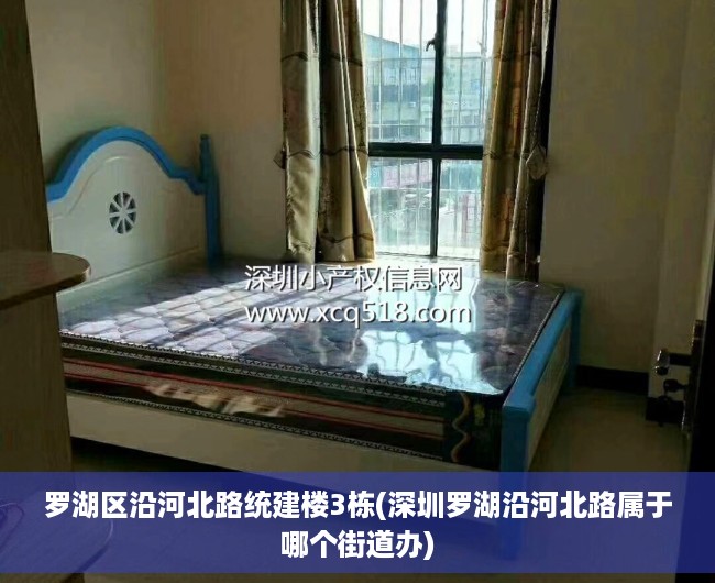 罗湖区沿河北路统建楼3栋(深圳罗湖沿河北路属于哪个街道办)