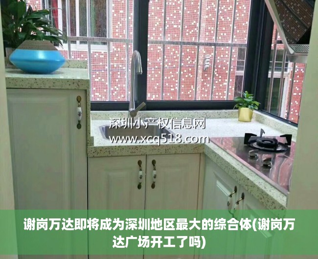 谢岗万达即将成为深圳地区最大的综合体(谢岗万达广场开工了吗)