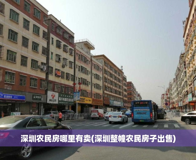 深圳农民房哪里有卖(深圳整幢农民房子出售)