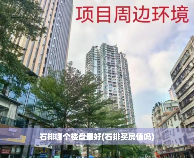 石排哪个楼盘最好(石排买房值吗)