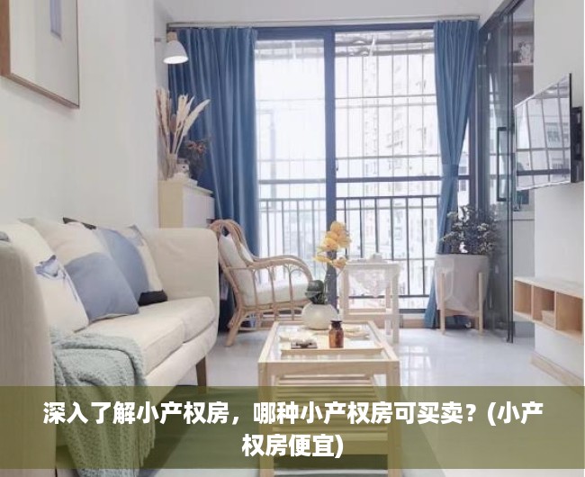 深入了解小产权房，哪种小产权房可买卖？(小产权房便宜)