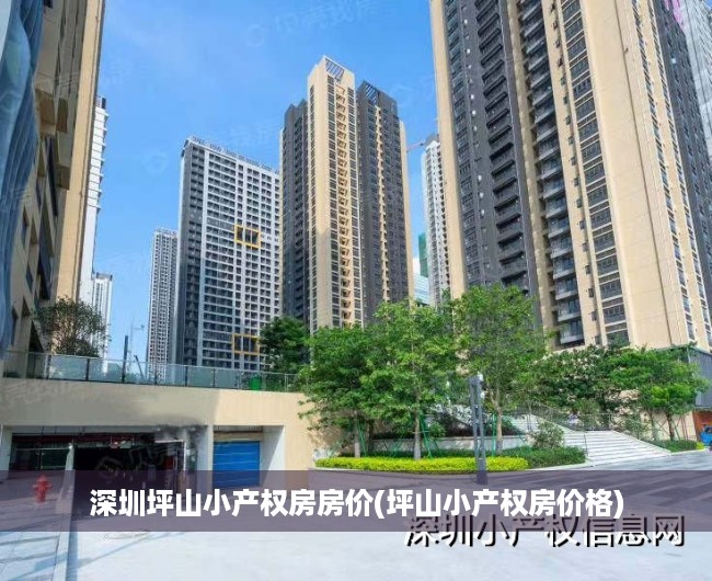 深圳坪山小产权房房价(坪山小产权房价格) 深圳坪山小产权房房价(坪山小产权房价格)