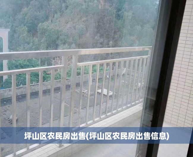 坪山区农民房出售(坪山区农民房出售信息)