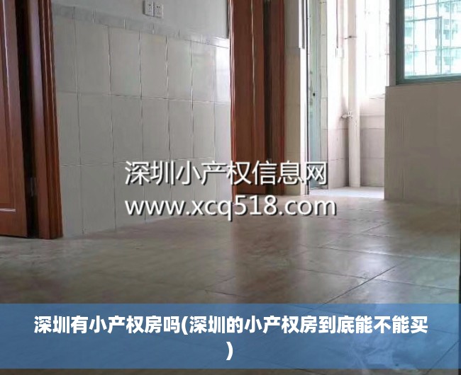 深圳有小产权房吗(深圳的小产权房到底能不能买) 深圳有小产权房吗(深圳的小产权房到底能不能买)
