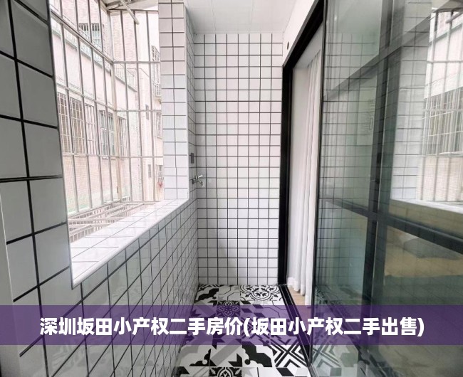 深圳坂田小产权二手房价(坂田小产权二手出售)