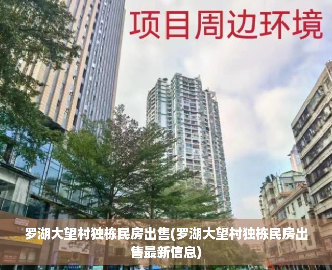 罗湖大望村独栋民房出售(罗湖大望村独栋民房出售最新信息) 罗湖大望村独栋民房出售(罗湖大望村独栋民房出售最新信息)