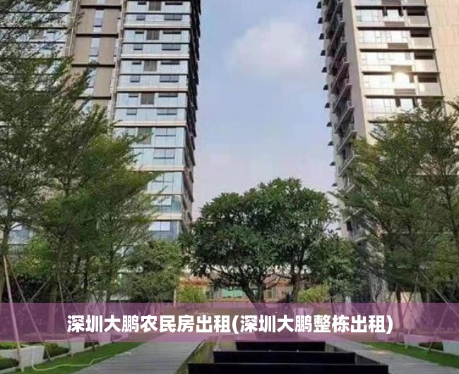 深圳大鹏农民房出租(深圳大鹏整栋出租)
