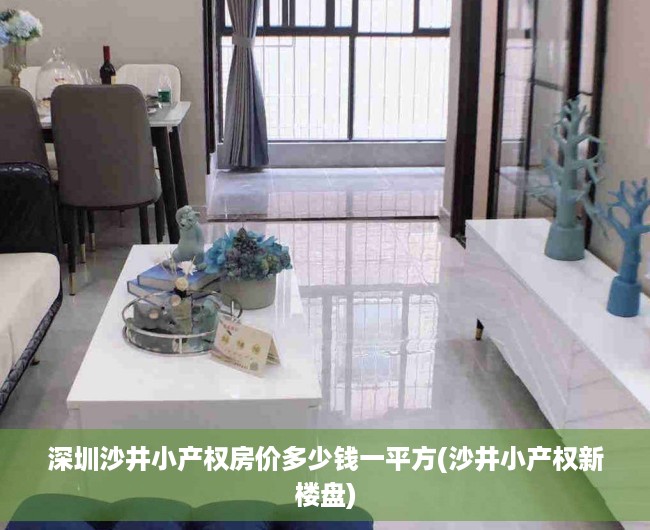 深圳沙井小产权房价多少钱一平方(沙井小产权新楼盘)