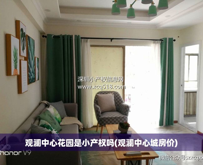 观澜中心花园是小产权吗(观澜中心城房价)