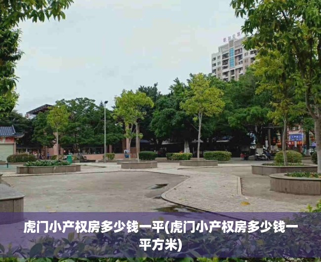 虎门小产权房多少钱一平(虎门小产权房多少钱一平方米)
