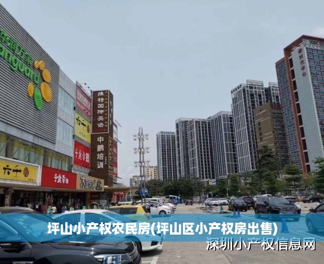 坪山小产权农民房(坪山区小产权房出售) 坪山小产权农民房(坪山区小产权房出售)