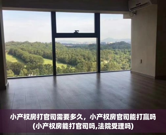 小产权房打官司需要多久，小产权房官司能打赢吗(小产权房能打官司吗,法院受理吗)