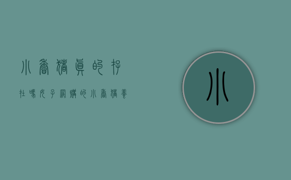 小香猪真的存在吗（女子网购的小香猪，养了几个月体型疯狂生长，结局让人意想不到）