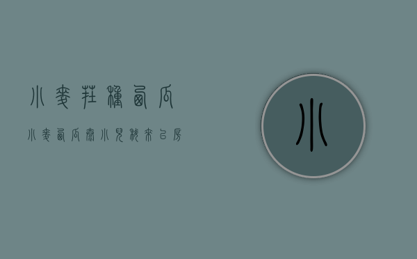 小麦茬种西瓜（小麦西瓜太小儿科 来以房换房！深圳开发商为卖新房太拼了）