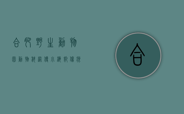 合肥野生动物园动物科（网传“小海豹伤痕累累”？ 合肥野生动物园最新回应）