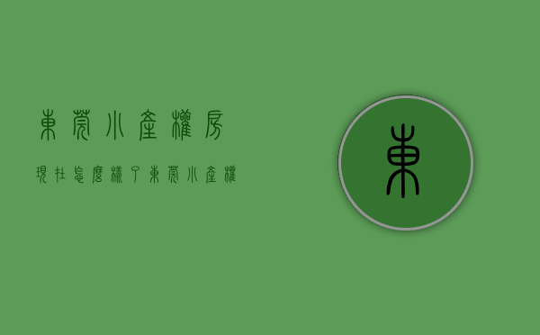 东莞小产权房现在怎么样了（东莞彻底清查小产权房，全力打击抢建违建行为）