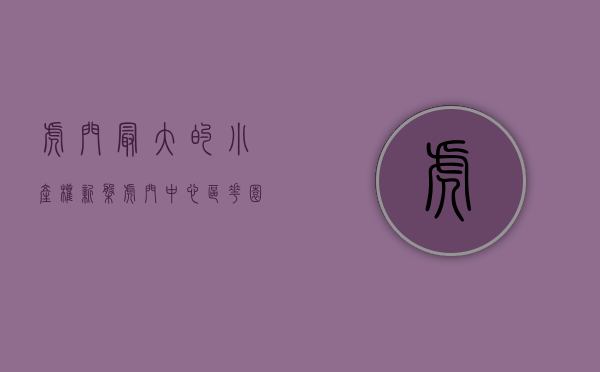 虎门最大的小产权新盘（虎门中心区花园小产权房三栋封闭式花园现房简介）