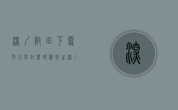 深圳坂田下雪村小学什么时候招生（深圳龙岗坂田下雪村南片区旧改实施主体为城建集团）