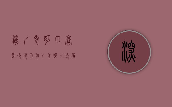 深圳光明田寮旧改项目（深圳光明《田寮居》原始户型小产权房 一梯两户地铁口精装三房598W起）