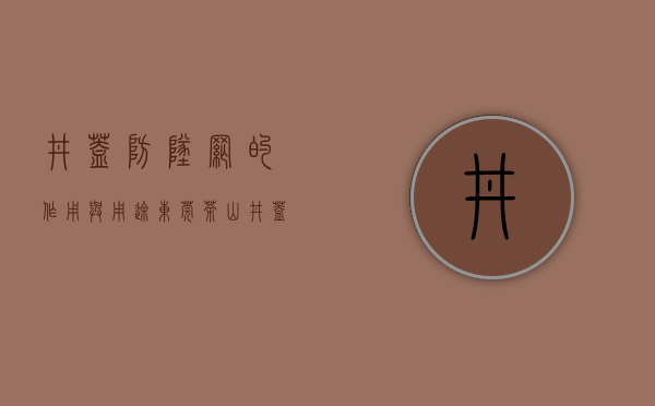 井盖防坠网的作用与用途（东莞茶山：井盖“穿上”新型防坠网，出行更安全）