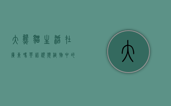 大熊猫生活在广东吗英语（【视频】“植物中的大熊猫”落户东莞，积极推动城市绿美发展）
