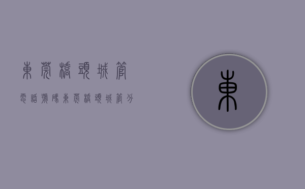 东莞桥头城管电话号码（东莞桥头城管分局“最美城管片长”朱润强：立足平凡小事，“让大家过得更舒服”）