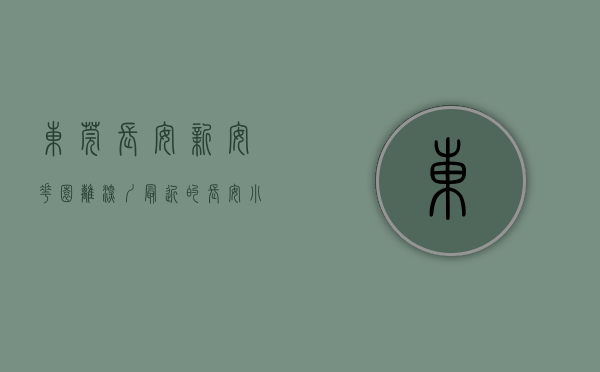 东莞长安新安花园（离深圳最近的长安小产权房之二——新安花园）(东莞长安新安花园别墅)