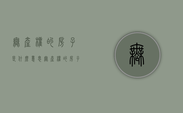 无产权的房子是什么意思（无产权的房子能买吗）(无产权房有什么风险)