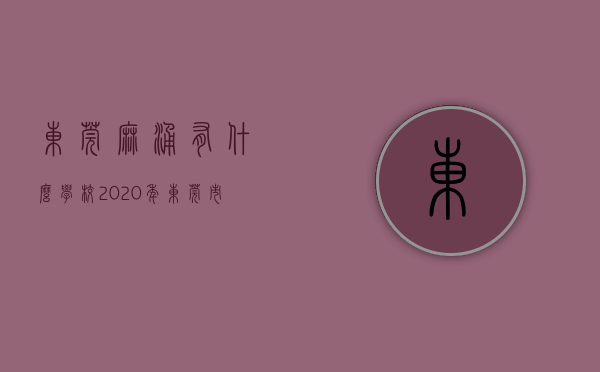 东莞麻涌有什么学校（2020年东莞市麻涌镇招聘公办小学聘用教师公告）