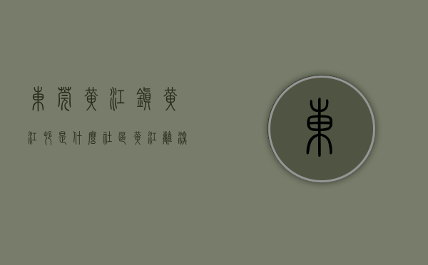 东莞黄江镇黄江村是什么社区（黄江离深圳最近的集资房！东莞黄江旧村精装统建楼小产权房《大学城豪庭》两房398万套起售，临深1公里 名校地铁高铁相伴位置好）